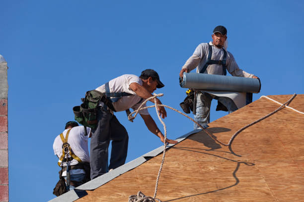 Best Roof Maintenance Services  in River Edge, NJ