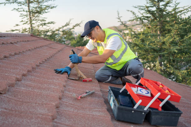 Best Roof Leak Repair  in River Edge, NJ